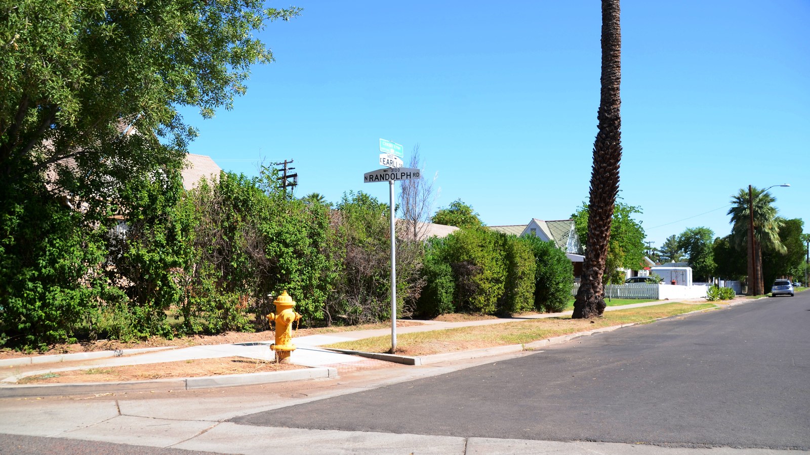 Residential street in the Cheery Lynn Historic District in Phoenix, Arizona